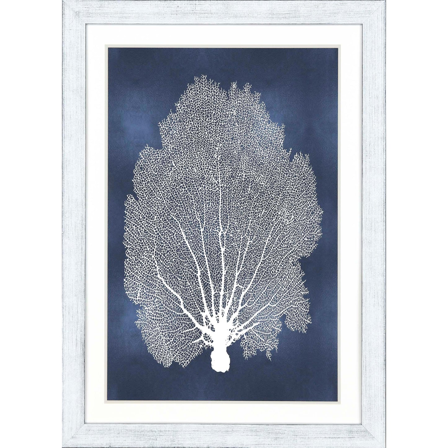 Sea Fan on Blue Wood Framed Wall Art