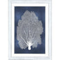 Sea Fan on Blue Wood Framed Wall Art