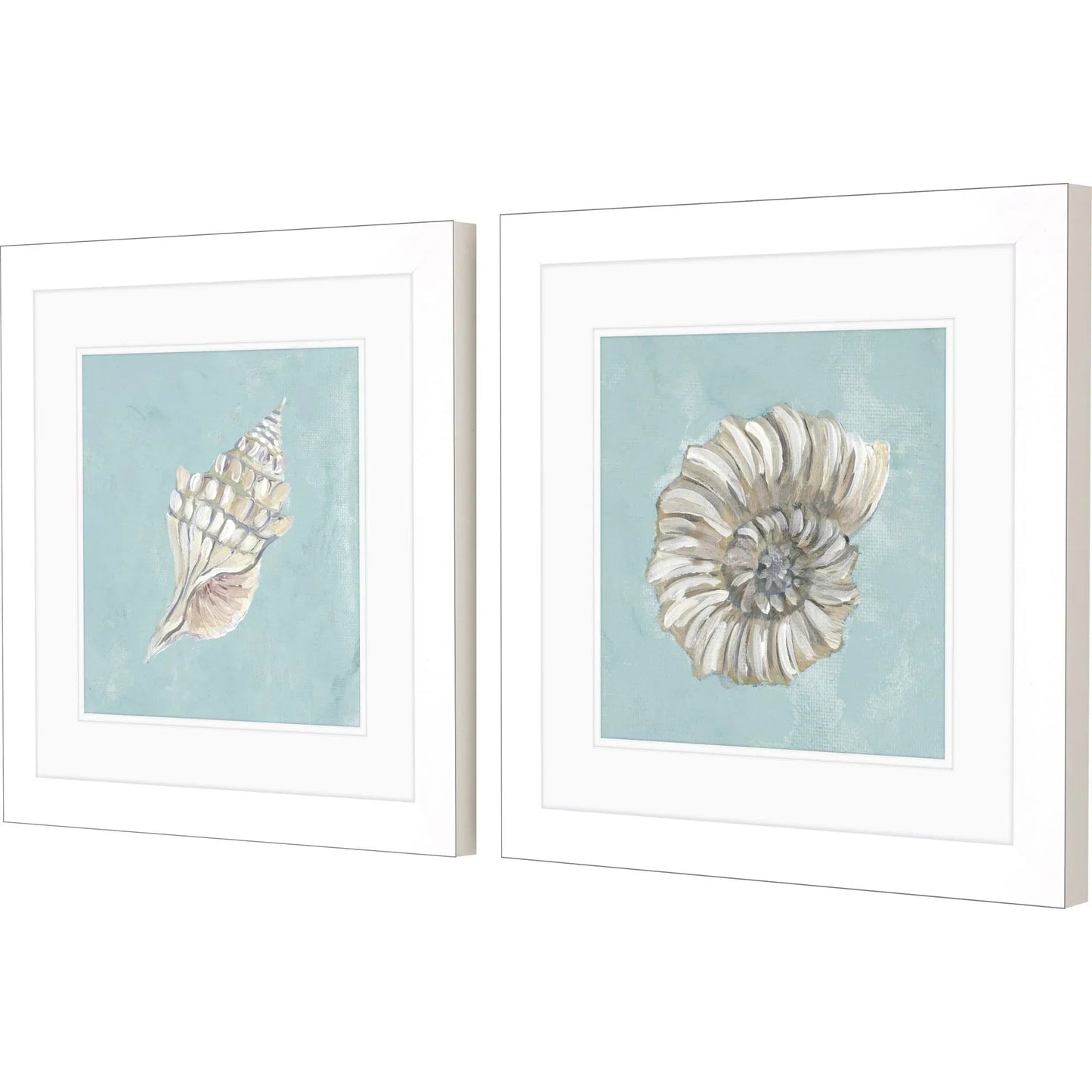 Seashell Glass Front Framed Wall Art 2PC