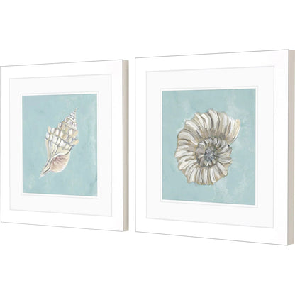Seashell Glass Front Framed Wall Art 2PC