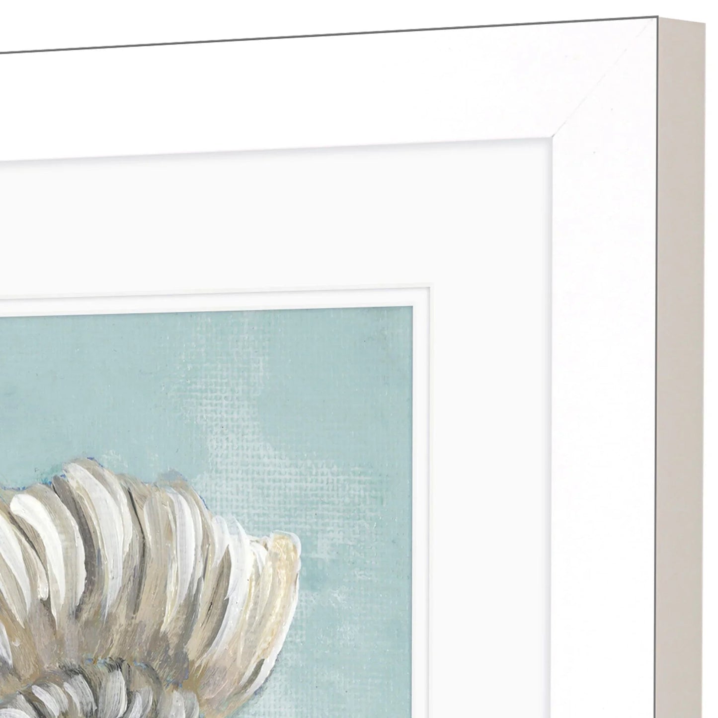 Seashell Glass Front Framed Wall Art 2PC