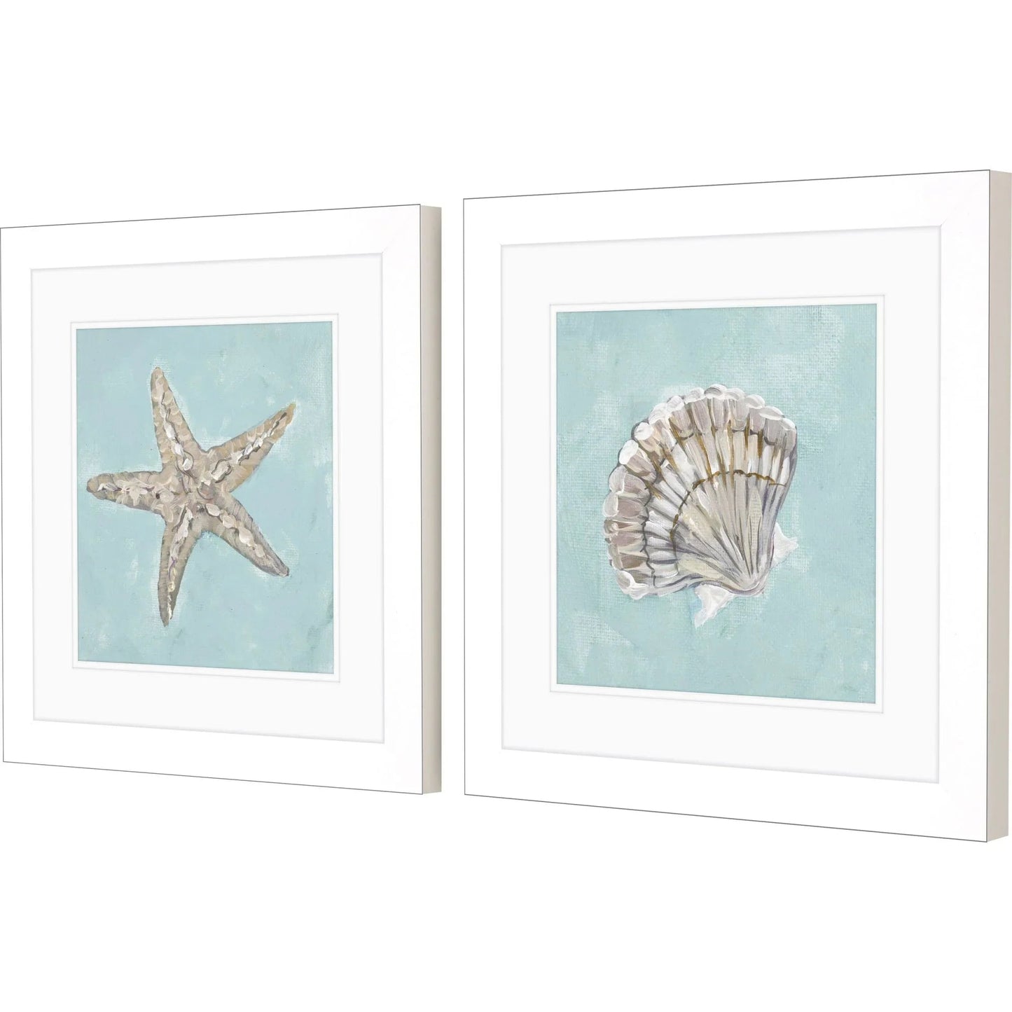 Seashell Glass Front Framed Wall Art 2PC