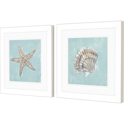 Seashell Glass Front Framed Wall Art 2PC