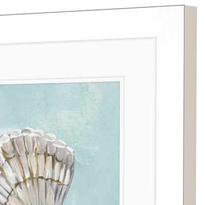 Seashell Glass Front Framed Wall Art 2PC