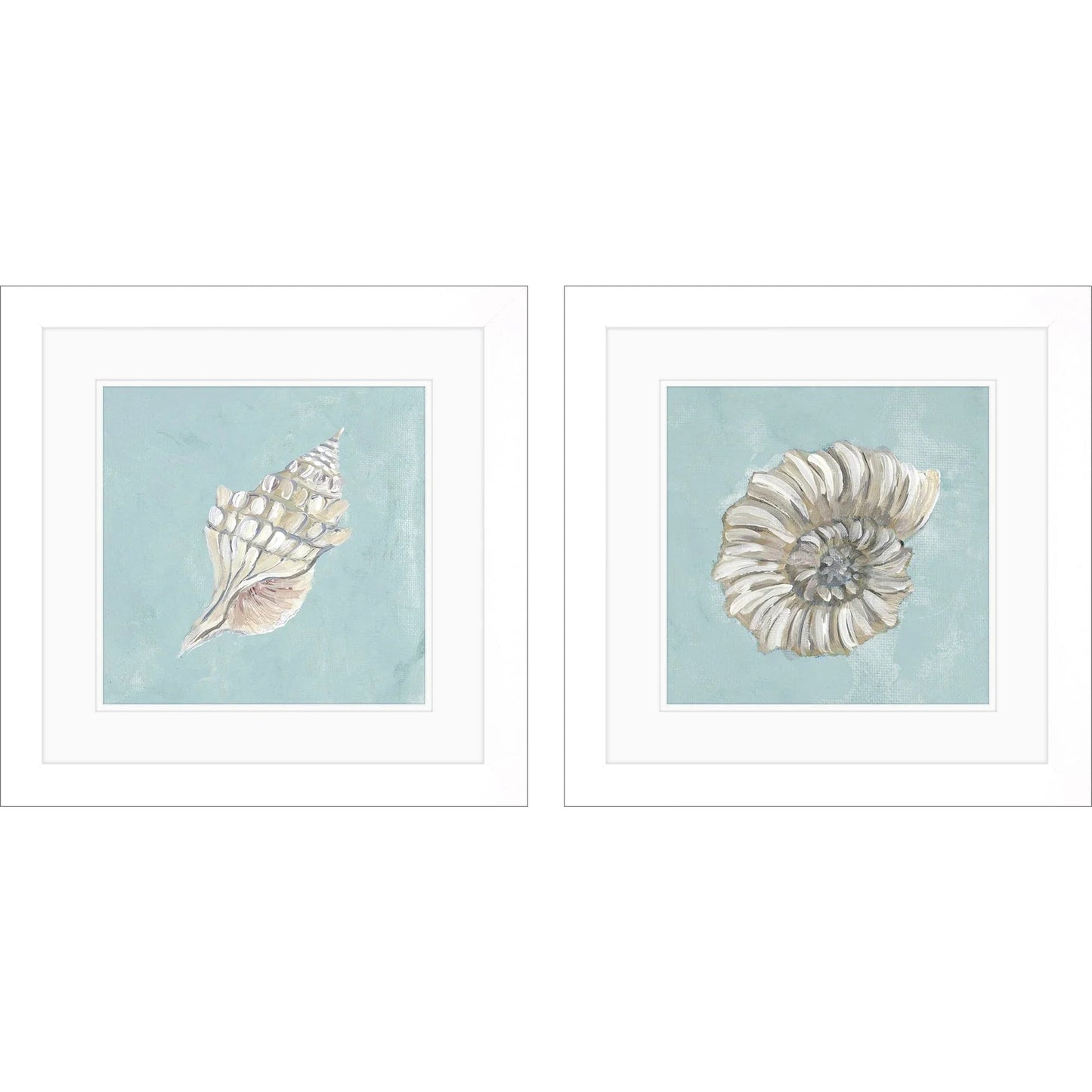 Seashell Glass Front Framed Wall Art 2PC