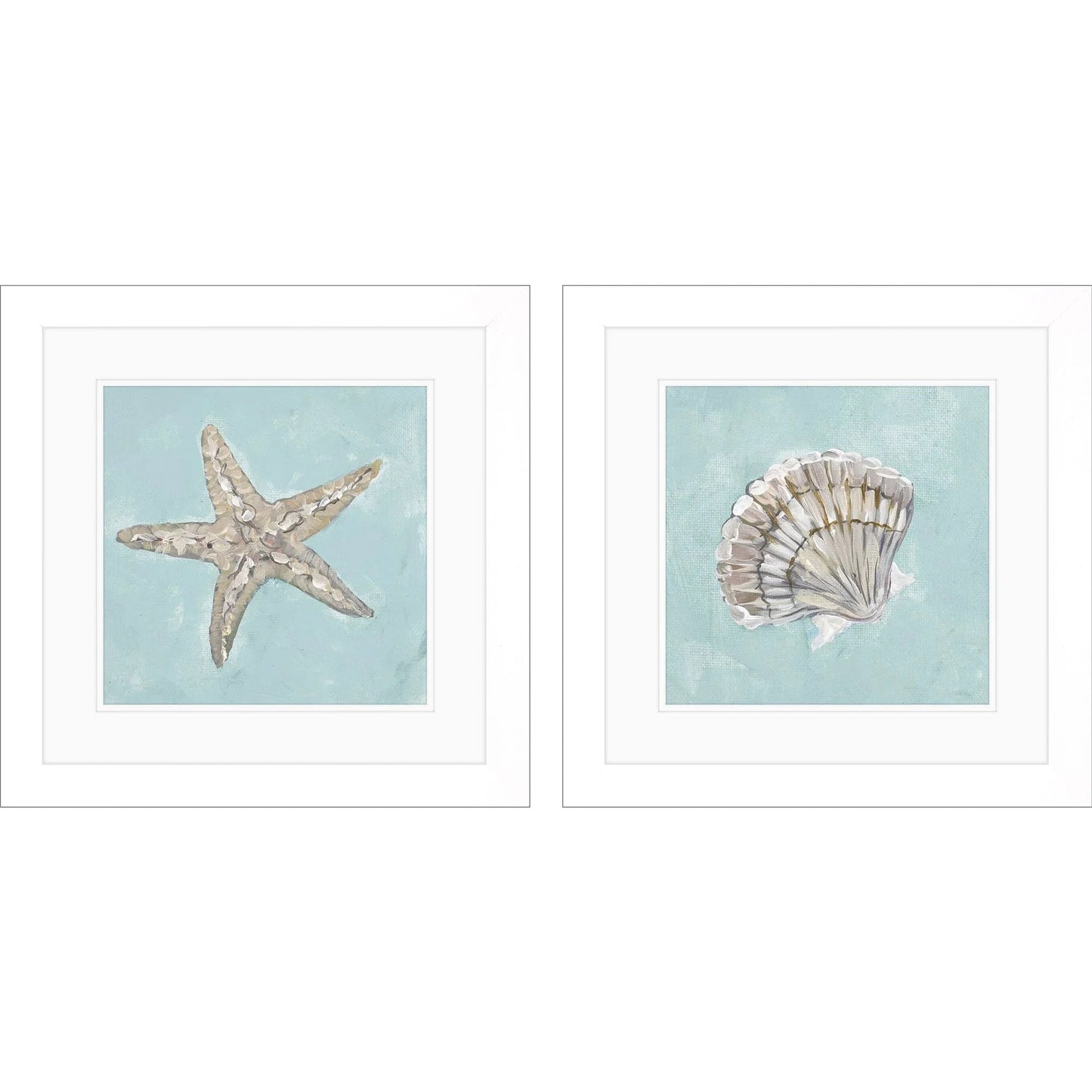 Seashell Glass Front Framed Wall Art 2PC