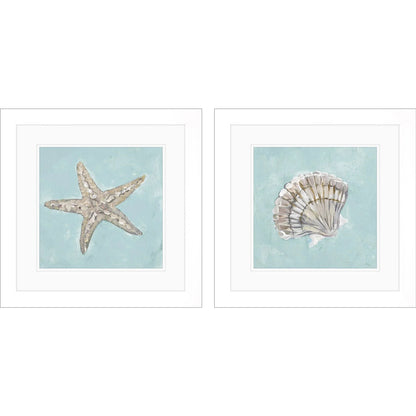 Seashell Glass Front Framed Wall Art 2PC