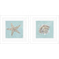 Seashell Glass Front Framed Wall Art 2PC