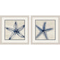 Shades of Starfish Blue Framed Wall Art 2PC