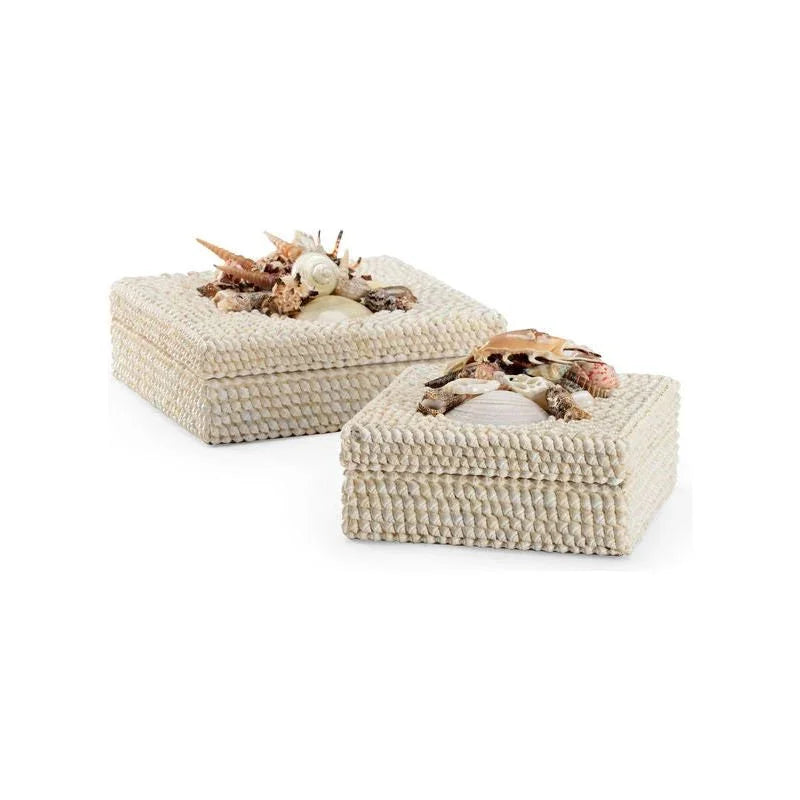 Shell Made White Box (Set of 2) - LOOMLAN - Chelsea House - Boxes & Bowls