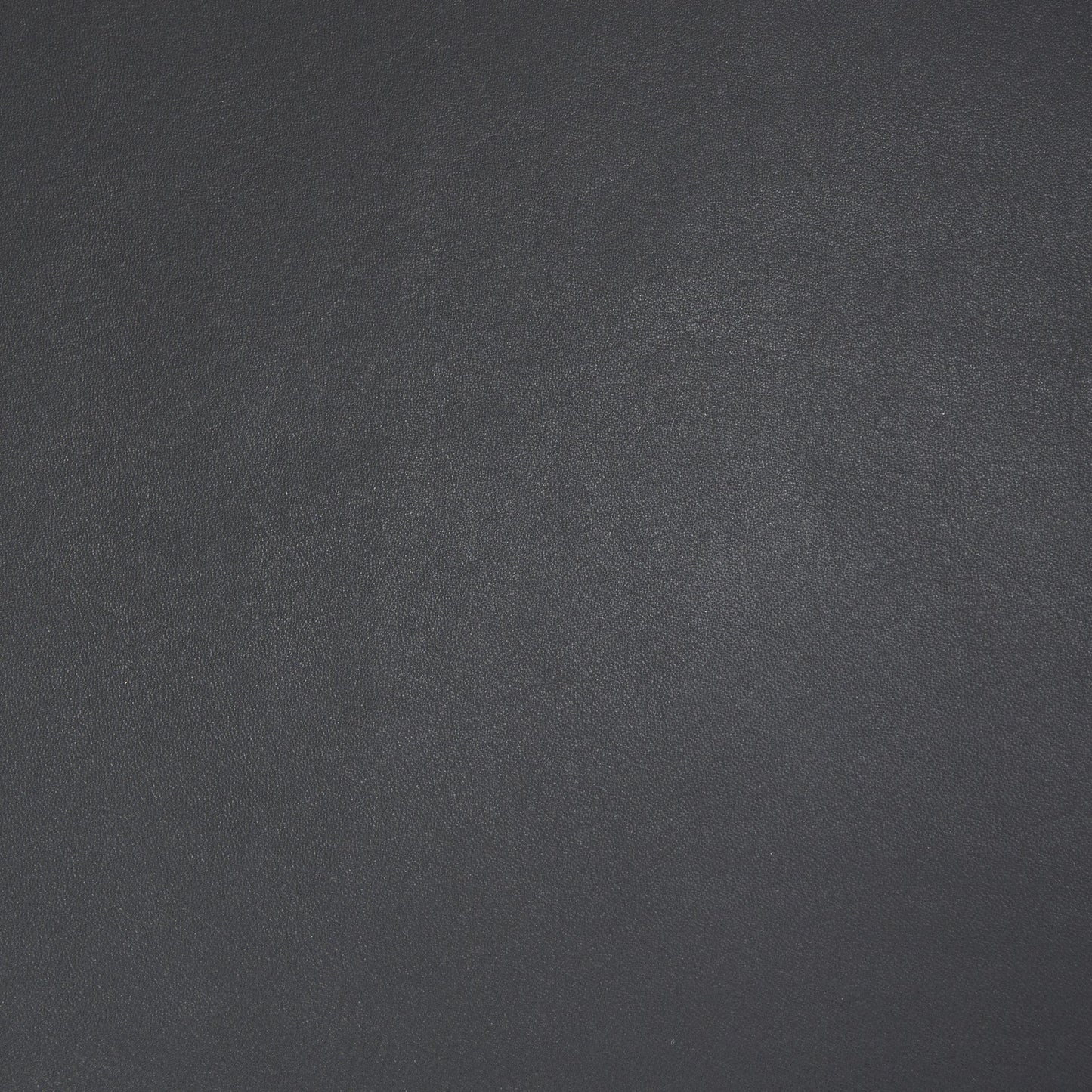 Sloan Two Doors Wood Bookcase