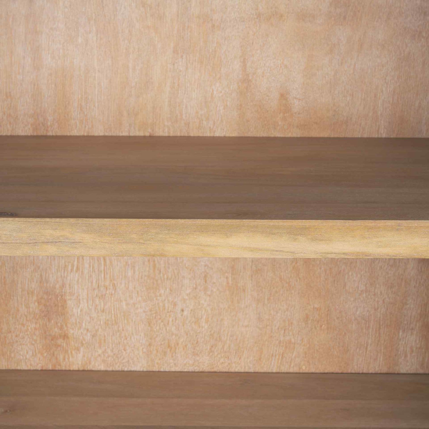 Sloan Two Doors Wood Bookcase