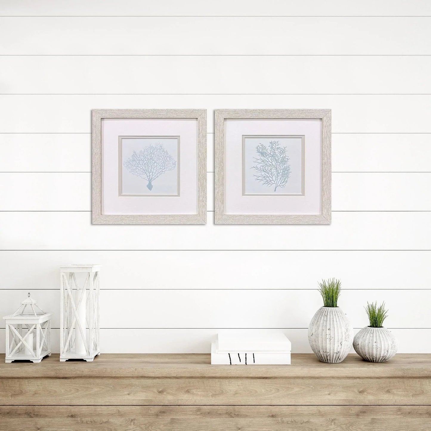Soft Blue Coral Framed Wall Art 2PC