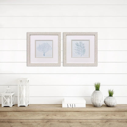 Soft Blue Coral Framed Wall Art 2PC