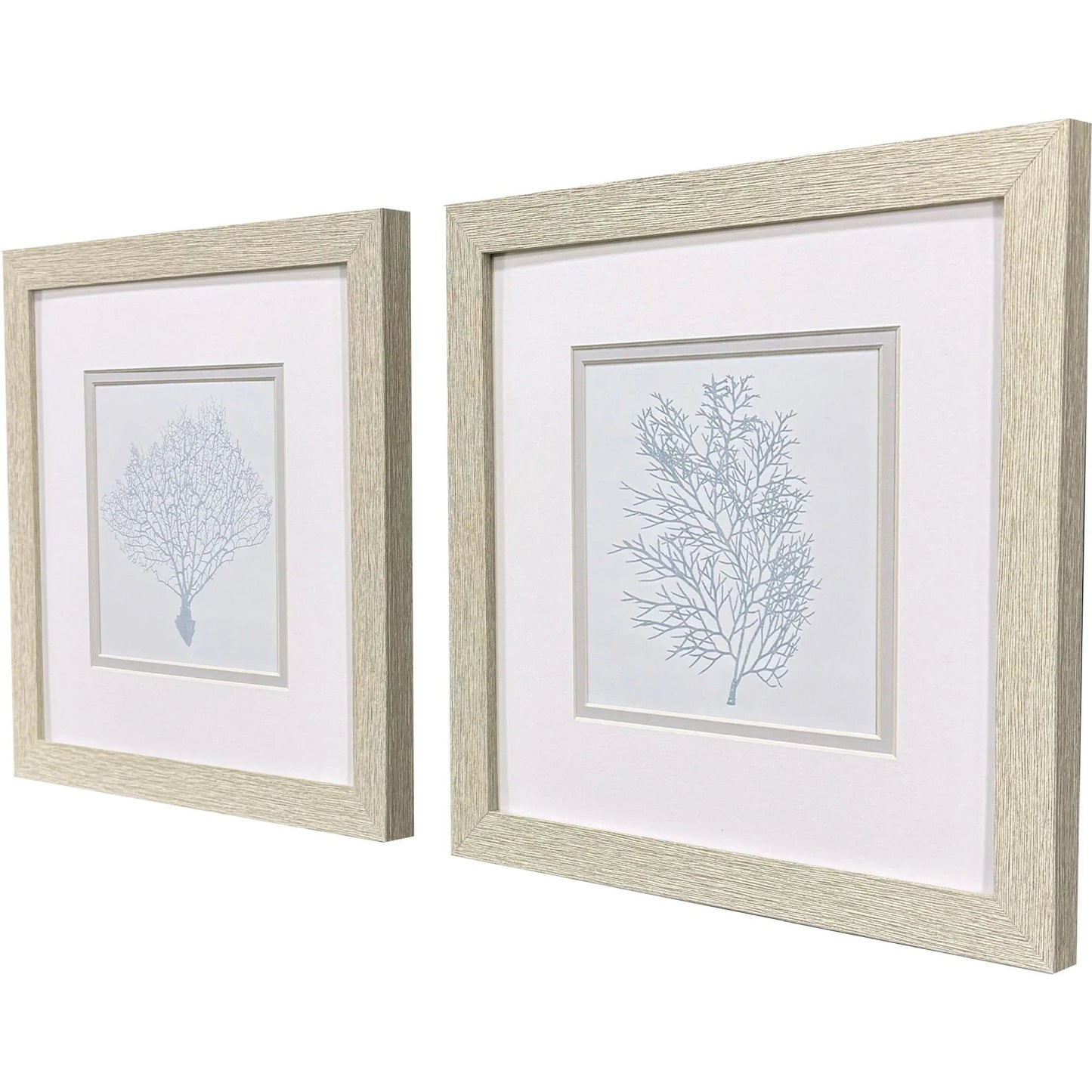 Soft Blue Coral Framed Wall Art 2PC
