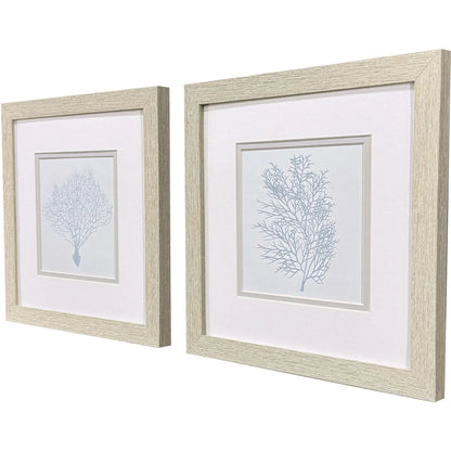 Soft Blue Coral Framed Wall Art 2PC
