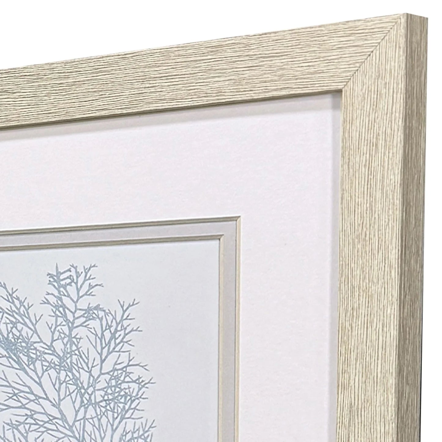 Soft Blue Coral Framed Wall Art 2PC