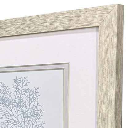 Soft Blue Coral Framed Wall Art 2PC