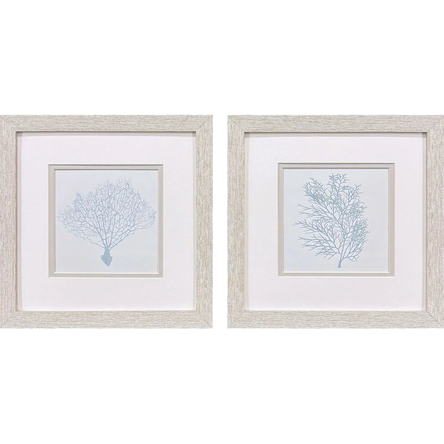 Soft Blue Coral Framed Wall Art 2PC