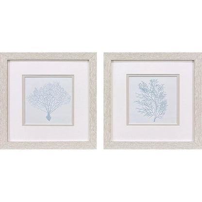 Soft Blue Coral Framed Wall Art 2PC