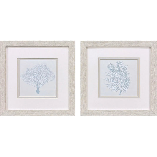 Soft Blue Coral Framed Wall Art 2PC