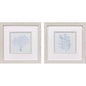Soft Blue Coral Framed Wall Art 2PC