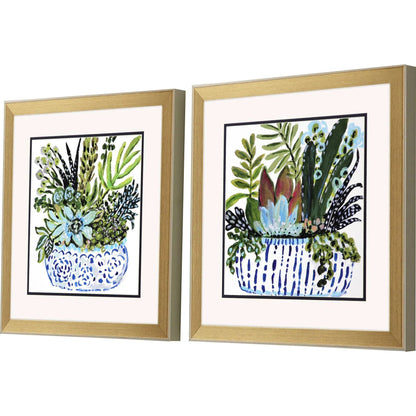 Succulent Garden Blue Framed Wall Art 2PC