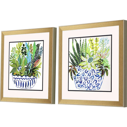 Succulent Garden Blue Framed Wall Art 2PC