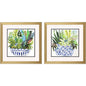 Succulent Garden Blue Framed Wall Art 2PC