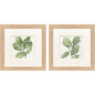 Summer Leaves Green Framed Wall Art 2PC