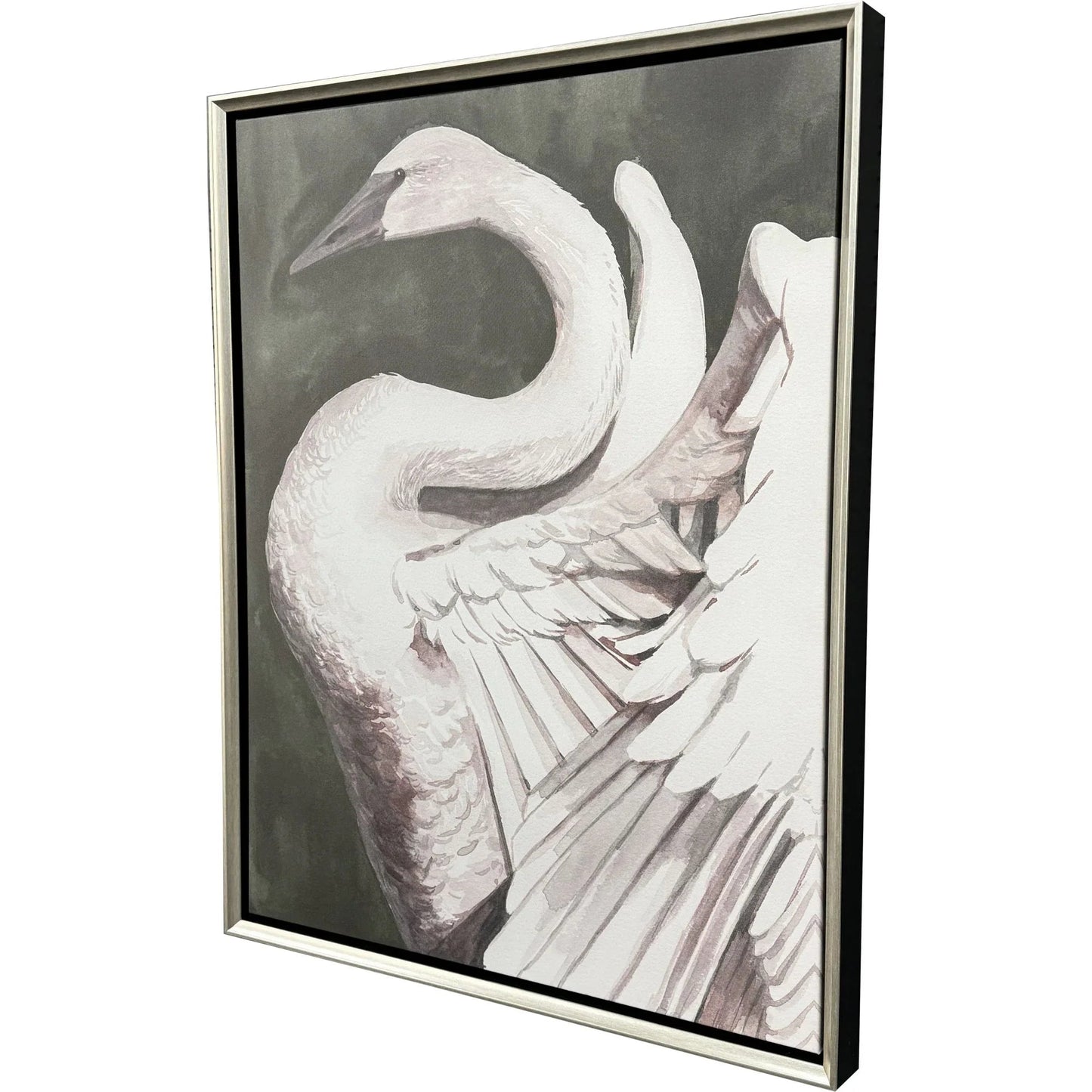 Swan Dance White Canvas Art