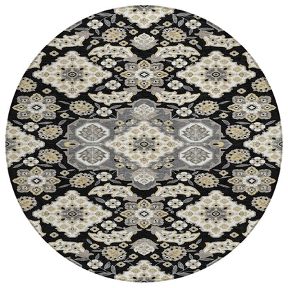 Taelira Black Washable Indoor-Outdoor Rug