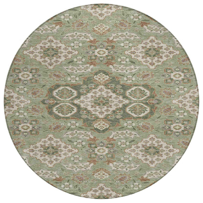 Taelira Green Washable Indoor-Outdoor Rug
