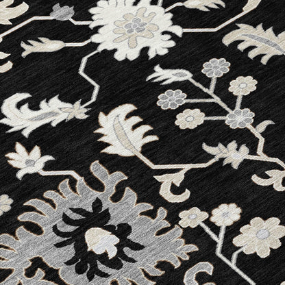Taelius Black Washable Indoor-Outdoor Rug