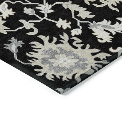 Taelius Black Washable Indoor-Outdoor Rug