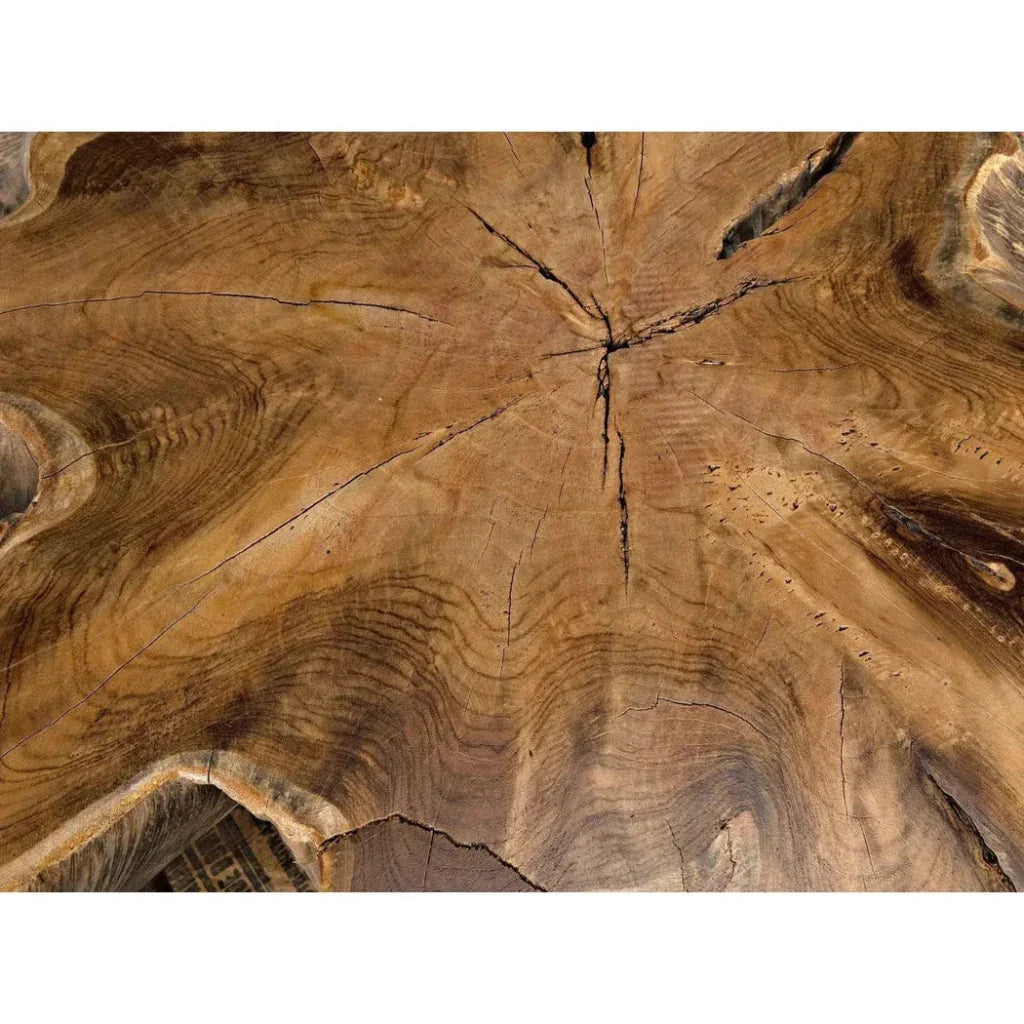 Teak Root Geometric Coffee Table - LOOMLAN - Noir - Coffee Tables