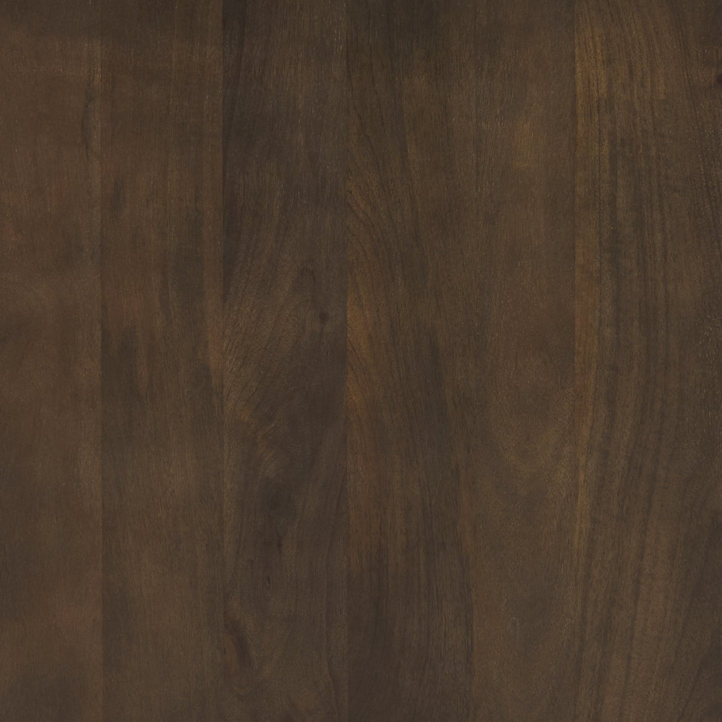 Terra Two Doors Wood Accent Cabinet