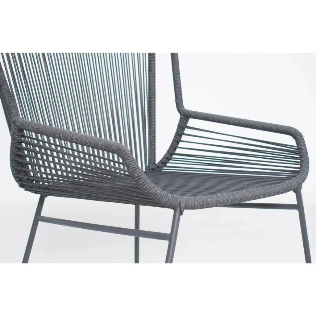 The Dane Dining Arm Chair 2PC Dark Gray Patio Dining-Outdoor Dining Chairs-Seasonal Living-LOOMLAN