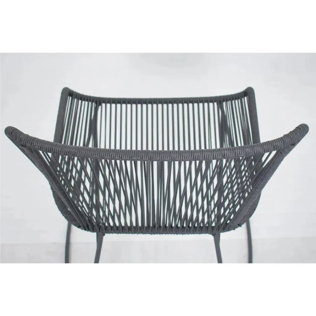 The Dane Dining Arm Chair 2PC Dark Gray Patio Dining-Outdoor Dining Chairs-Seasonal Living-LOOMLAN