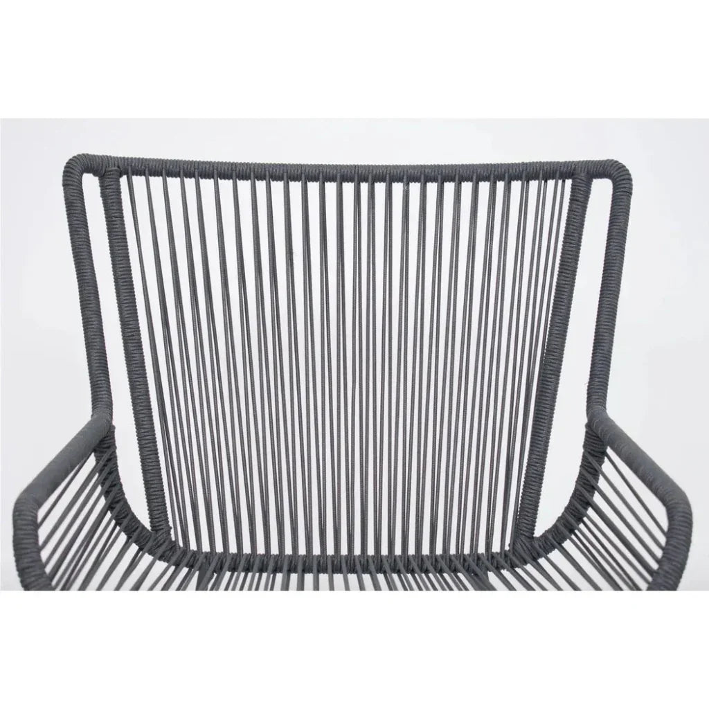 The Dane Dining Arm Chair 2PC Dark Gray Patio Dining-Outdoor Dining Chairs-Seasonal Living-LOOMLAN