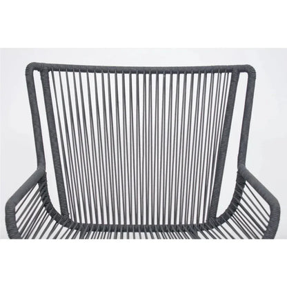 The Dane Dining Arm Chair 2PC Dark Gray Patio Dining-Outdoor Dining Chairs-Seasonal Living-LOOMLAN