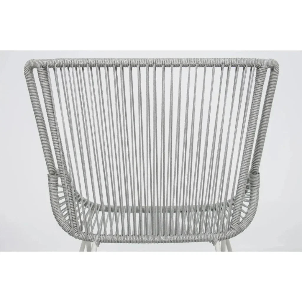 The Dane Dining Arm Chair 2PC Grey Patio Dining Chairs-Outdoor Dining Chairs-Seasonal Living-LOOMLAN