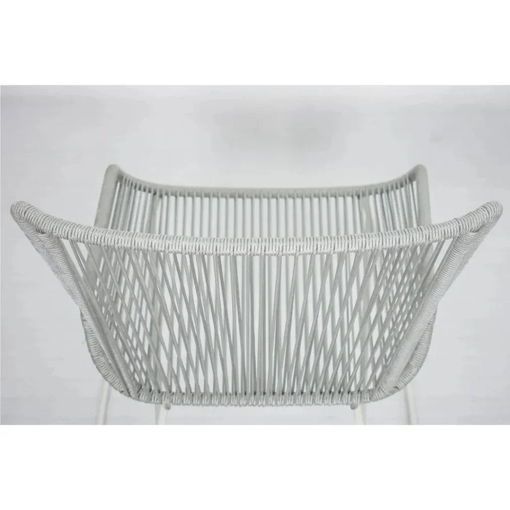 The Dane Dining Arm Chair 2PC Grey Patio Dining Chairs-Outdoor Dining Chairs-Seasonal Living-LOOMLAN