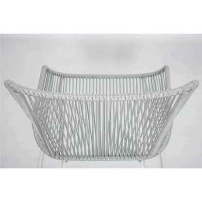 The Dane Dining Arm Chair 2PC Grey Patio Dining Chairs-Outdoor Dining Chairs-Seasonal Living-LOOMLAN