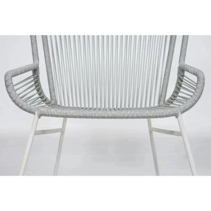 The Dane Dining Arm Chair 2PC Grey Patio Dining Chairs-Outdoor Dining Chairs-Seasonal Living-LOOMLAN