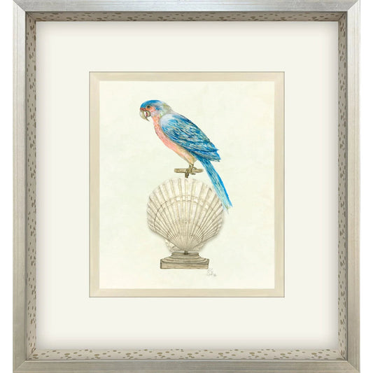 Treasure Parrot IV Wood Framed Wall Art