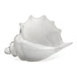Triton Blown Glass Sea Shell Object