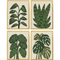 Tropical Abundance Wood Framed Wall Art 4PC