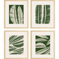 Tropical Flourish Green Framed Wall Art 4PC