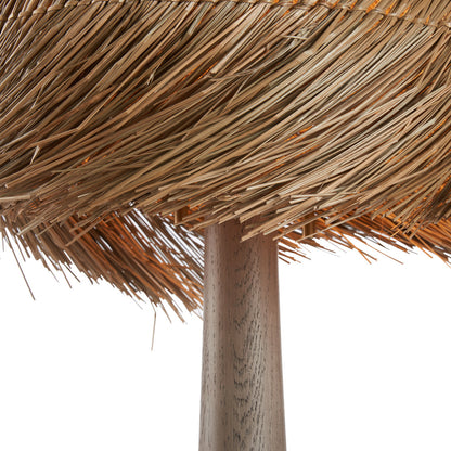 Tulum Sculptural Wood Base Table Lamp